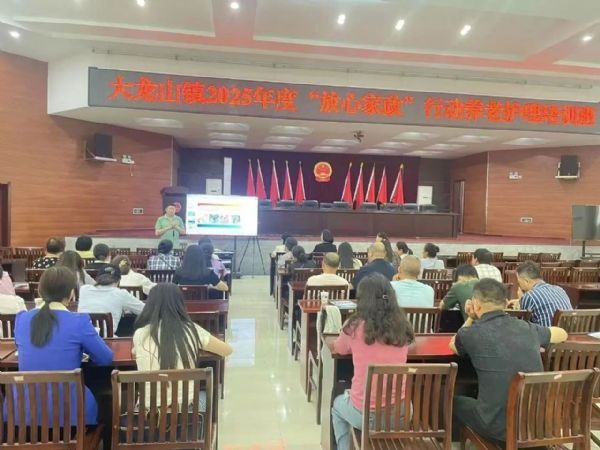 宜秀区 | 大龙山镇开展2025年度“放心家政”技能培训